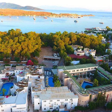 Bleu Nuit + فندق *