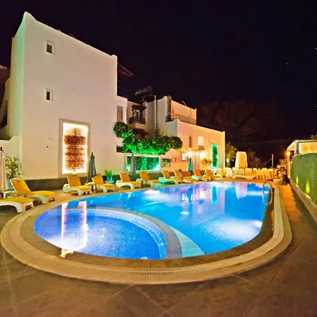Bleu Nuit + * Bodrum