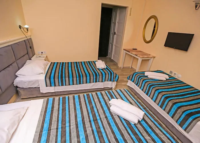 酒店 Bleu Nuit + 博德鲁姆