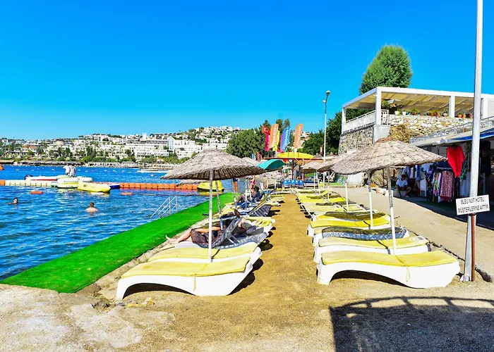 Ξενοδοχείο Bleu Nuit +