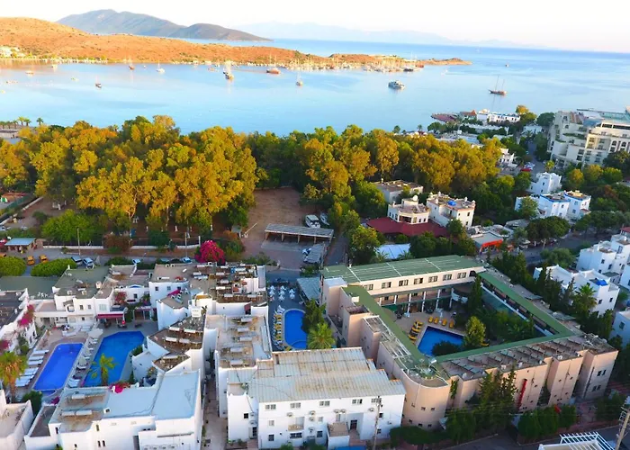 Bleu Nuit + Ξενοδοχείο *